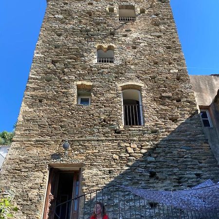 Bed and Breakfast Torra Di Ciocce Pino Exterior foto